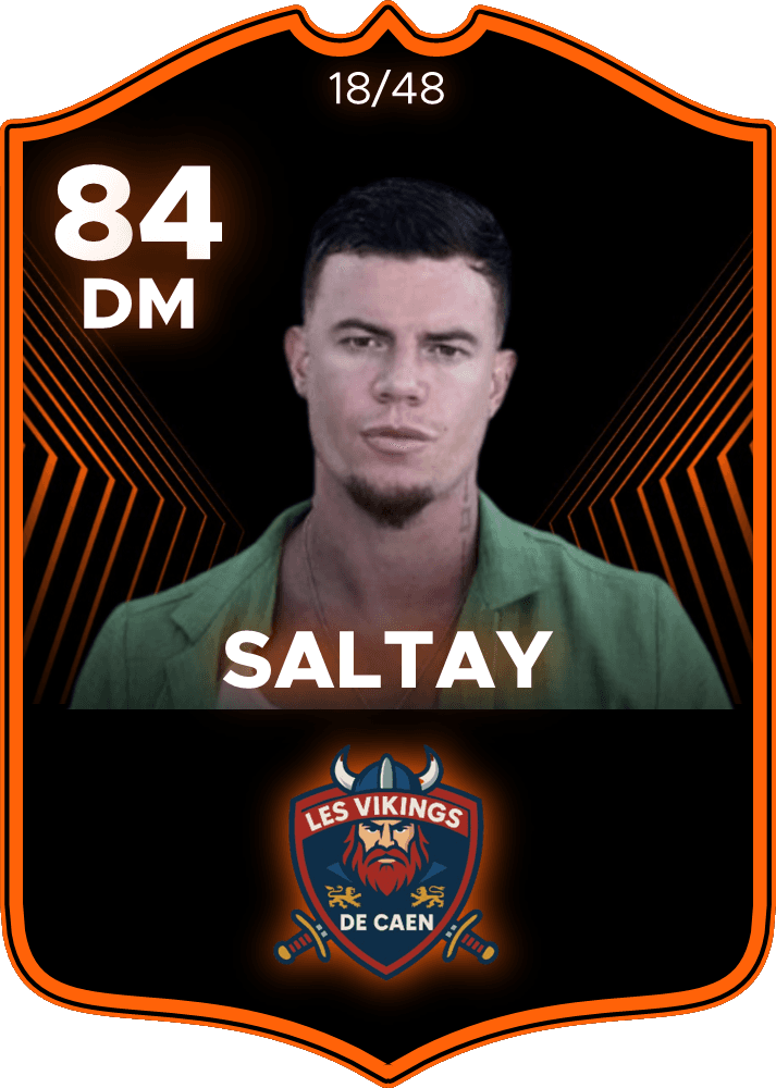 Saltay