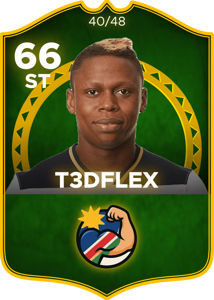 T3dflex