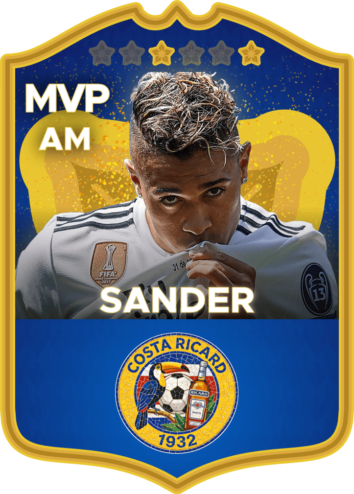 Sander
