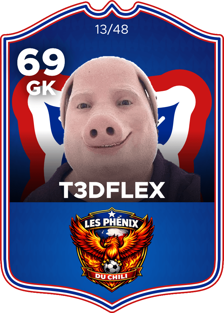 T3DFlex