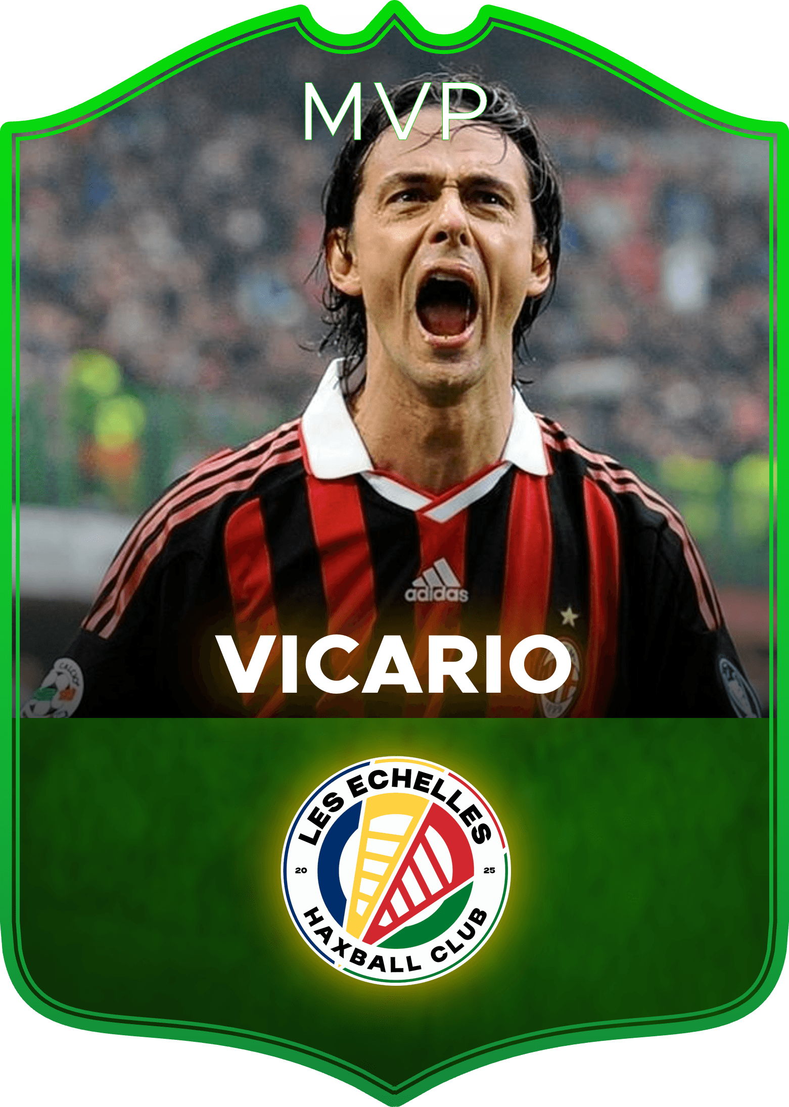 Vicario